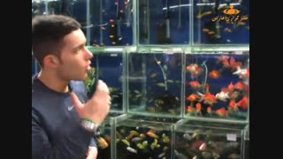 شرایط نگهداری ماهیان اکواریومی