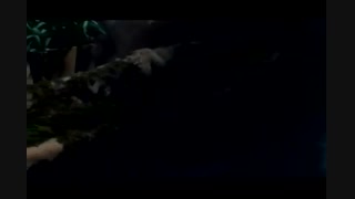 فرار موش ها - رسول دانیال زاده