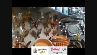 فروشگاه نصیری دکتر پوست