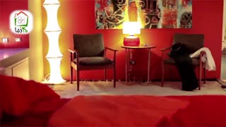 نمونه های طراحی داخلی - ۲۰۱۷