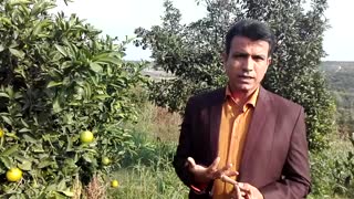 مهارت های ارتباطی و حل تعارض