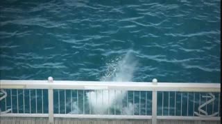 سریال کره ای (The Innocent Man (Nice Guy