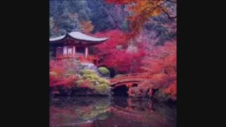 عکس های قشنگ از طبیعت با آهنگ زیبا