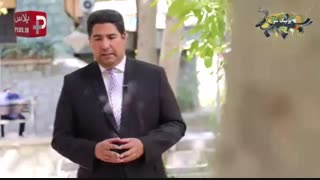 فقط دختر و پسرهای مجرد حق دیدن این ویدیو را دارند؛ قبل از جواب مثبت آمار طرف را دربیاورید