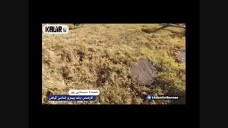 گزارش/کویرتیوی ژن خوب سیف الهی