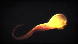 من یک سیاه چاله ام ....