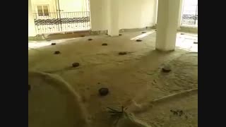 فوم بتن ۰۹۱۲۶۱۱۴۱۳۸