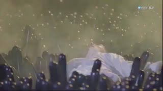 پشت صحنه آهنگ جدید اکسو Electric kiss