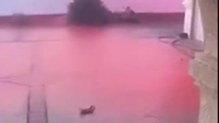 بارش خون از هواپیما! 18+