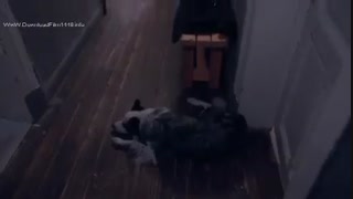 دانلود قسمت 4 سریال فی - fici با زیرنویس فارسی چسبیده