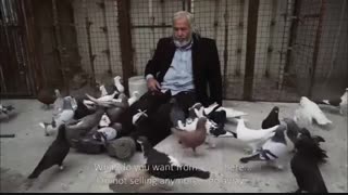 تیزر مستند «علی آقا» به کارگردانی کامران حیدری