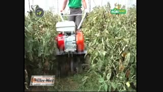 تیلر کولتیواتور اولیومکOLEOMAC MH197RK