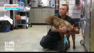 سگی که عاشق خوردن پستانک بچه است