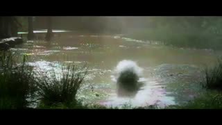 تریلر شماره 1 فیلم علمی تخیلی Annihilation