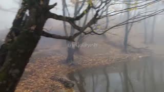 جنگلهای شرق استان گلستان