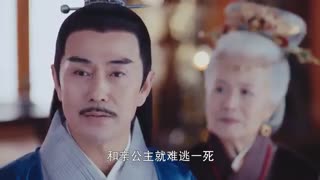 قسمت29سریال چینی پرنسس وی یونگ The Princess Weiyoung 2016