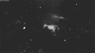لطفا دنبال شه