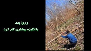 مرد چوب بُر