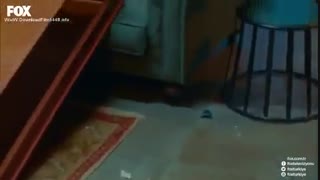 دانلود قسمت 15 حکایت ما-bizim hikaye با زیرنویس فارسی چسبیده