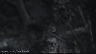 تریلر بازی call of duty