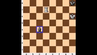 Chess Endgame_ Rook vs Bishop