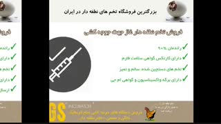 تخم نطفه دار تازه، سالم و بهداشتی غاز با راندمان جوجه در آوری بسیار بالا