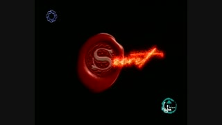 مستند راز با ترجمه کامل