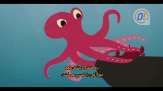 چرا هوش هشت پا بسیار شگفت انگیز است؟