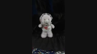 خرس مهربون من