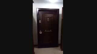 رنگ تیره راش درب ضد سرقت اتاک