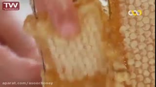 عسل کوپال/آیا عسل طبیعی شکرک می زند؟