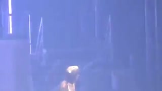 چقد کیوته خدایاااا...پاش شکسته بازم شیطونه