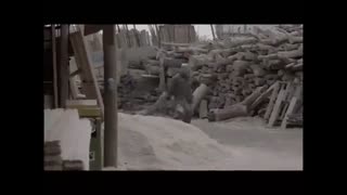 فیلم آزاد به قید شرط - تریلر - کیفیت فوق العاده HD