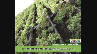 آبیاری اتوماتیک چکادبام