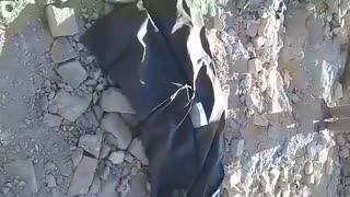 زیر آوار ماندن یک نفر در تخریب توسط شهرداری