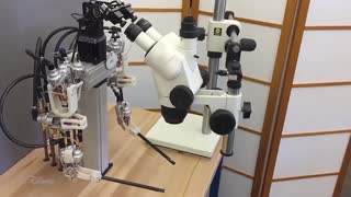 طراحی ربات برای معاشرت با دیگران از راه دور