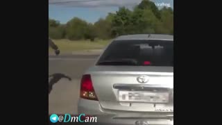 یک قدمی مرگ