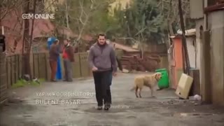 دانلود قسمت 13 سریال زندگی گمشده Zendegi.Gomshodehدوبله فارسی در کانال