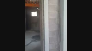 بلوک لیپر اجرای دیوار با بلوک لیپر