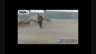 گزارش کویر تی وی از وضعیت مهاجرین ساکن حاشیه ی شهر کرمان