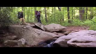 تریلر فیلم  A Walk in the Woods   از سایت GoGoMovie