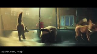 خوشحالی حیوانات در کریسمس