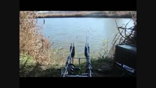 روش کاربرد لنسر ماهیگیری برای صید کپور