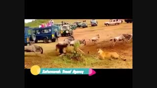 تورهای نوروز 97 سفرنامه