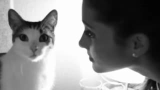 گربه باحیا و محجب !!!!