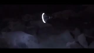پرواز در شب