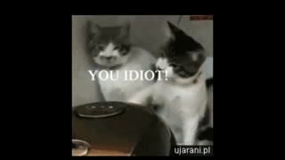 به این میگن زرنگی کردن ...