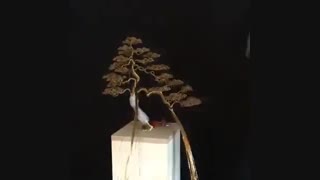 ساخت درخت تزئینی با رشته سیم
