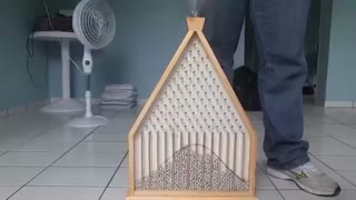 ماشین گالتون