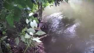 ماهیگیری با قلاب  full hd